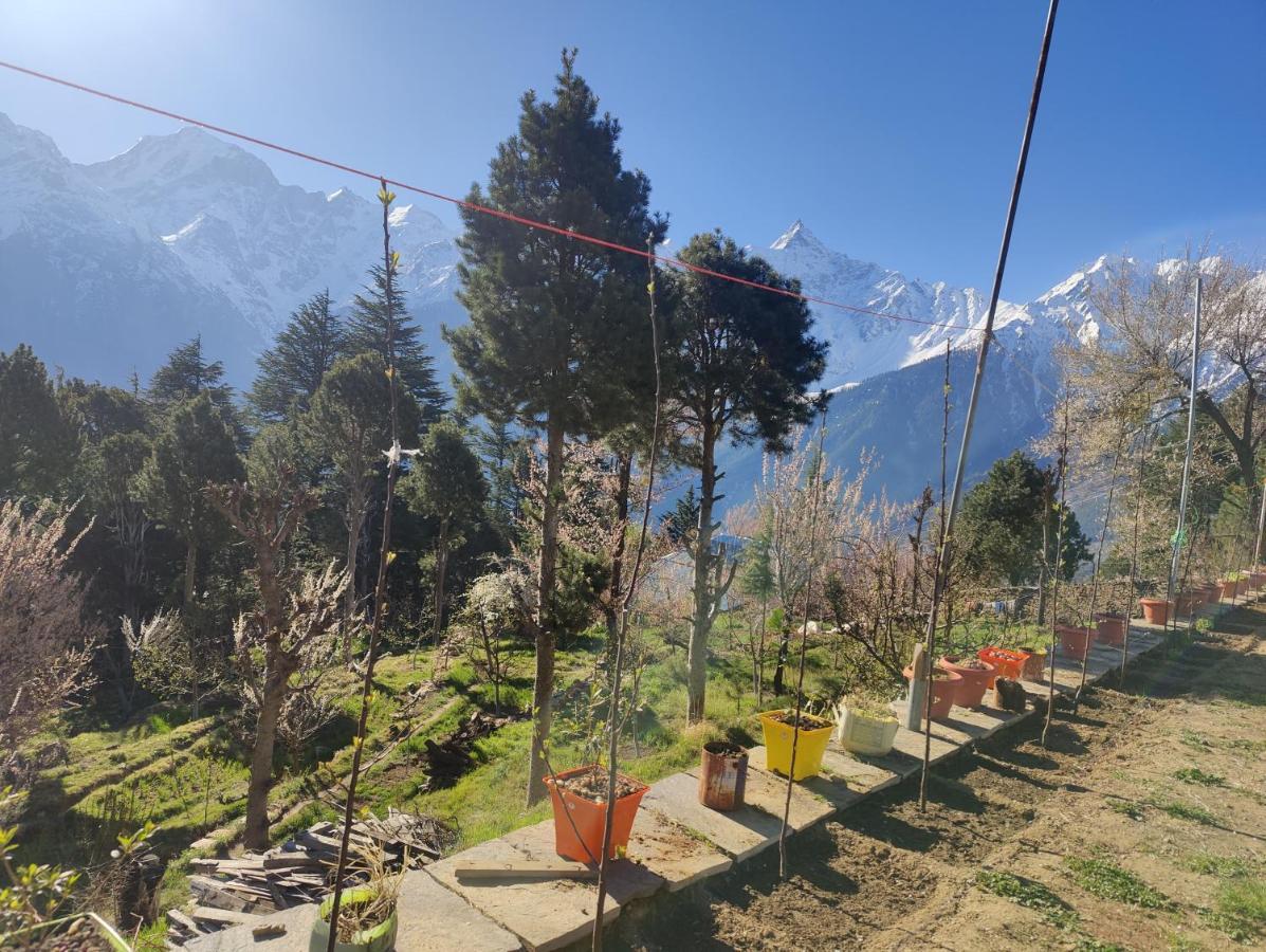 Silk Route Home Stay Kalpa Exteriér fotografie